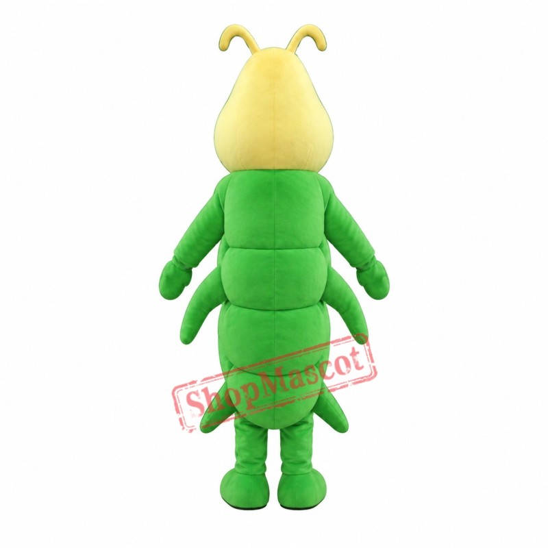 Affordable Green Caterpillar Mascot Costume Affordable Green Caterpillar Mascot Costume