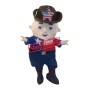 American Cowboy Mascot Costume
