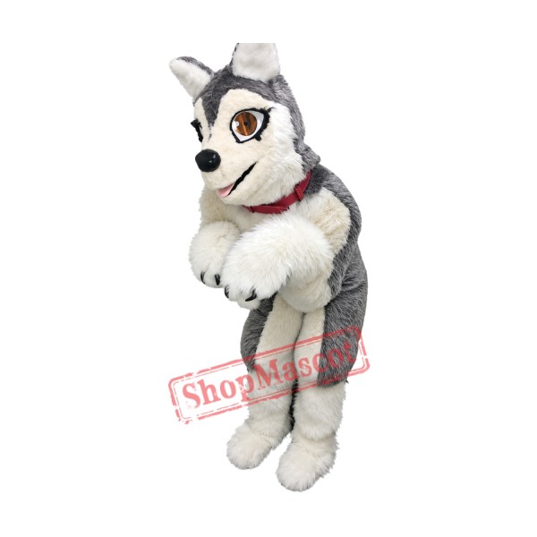 Cute Realistic Husky Dog Mascot Costume