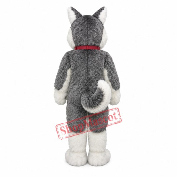 Cute Realistic Husky Dog Mascot Costume