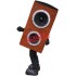 Audio Mascot Costume