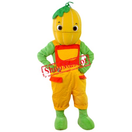 Happy Pumpkin Boy Mascot Costume