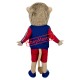 Superb Sport Realistic Lightweight Lion Mascot Costume