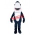 Happy Lightweight Airplane Mascot Costume