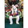 Lovely Realistic Lightweight Easter Bunny Mascot Costume