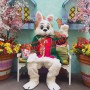 Lovely Green Suit Easter Bunny Mascot Costume