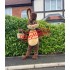 Lovely Lightweight Brown Rabbit Mascot Costume