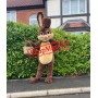 Lovely Lightweight Brown Rabbit Mascot Costume