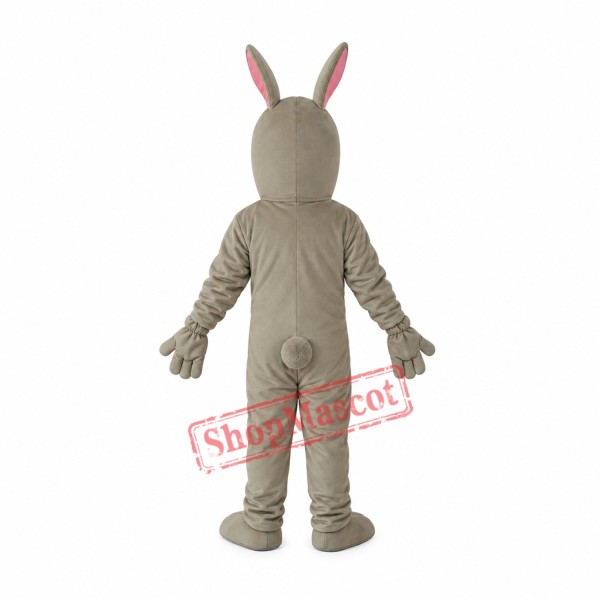 Old Version Hound Mascot Adult Costume Free Shipping Old Version Hound Mascot Adult Costume Free Shipping