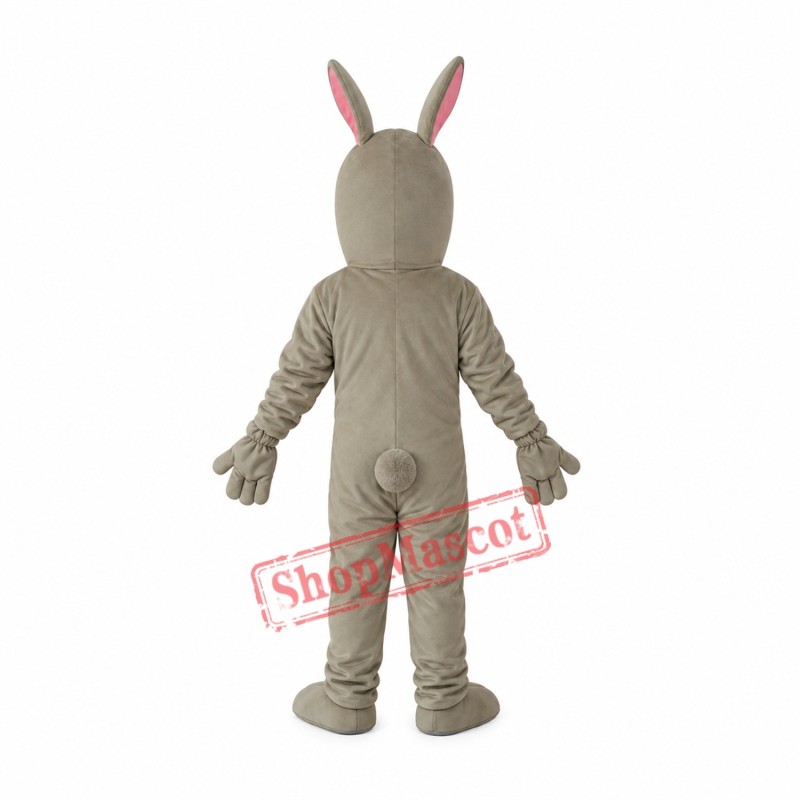 Old Version Hound Mascot Adult Costume Free Shipping Old Version Hound Mascot Adult Costume Free Shipping