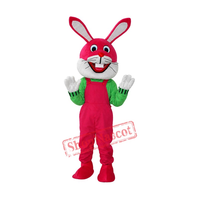 Etiquette Rabbit Mascot Adult Costume Free Shipping Etiquette Rabbit Mascot Adult Costume Free Shipping