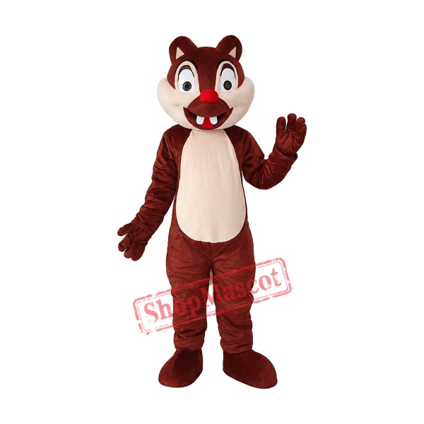 Little Squirrel Mascot Adult Costume Free Shipping Little Squirrel Mascot Adult Costume Free Shipping