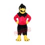 College Sport Falcon Mascot Costume