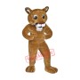 High Quality Power Lion Mascot Costume