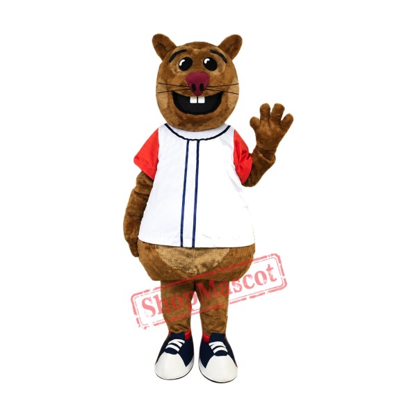 Cheap Squirrel Mascot Costume Cheap Squirrel Mascot Costume