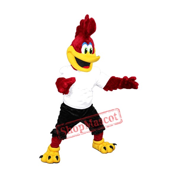 Bird Roadrunner Mascot Costume