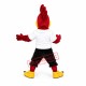 Bird Roadrunner Mascot Costume Bird Roadrunner Mascot Costume