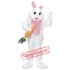 Pink Easter Rabbit Mascot Costume