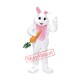 Pink Easter Rabbit Mascot Costume Pink Easter Rabbit Mascot Costume