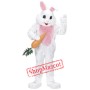 Pink Easter Rabbit Mascot Costume