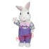 Fuzzy Bunny Mascot Costume