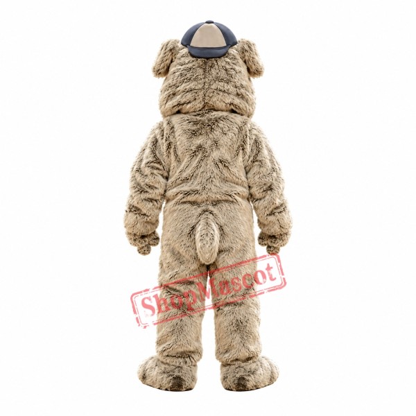 School Bulldog Mascot Costume School Bulldog Mascot Costume