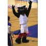 College Black Panther Mascot Costume