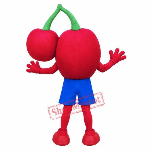 High Quality Cherry Mascot Costume High Quality Cherry Mascot Costume