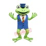 Cute Frog Mascot Costume For Adult
