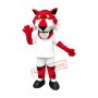 Red Tiger Mascot Costume