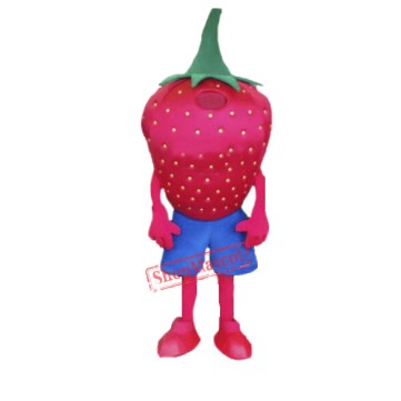 High Quality Strawberry Mascot Costume