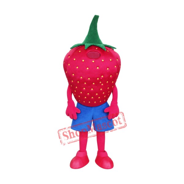 High Quality Strawberry Mascot Costume High Quality Strawberry Mascot Costume