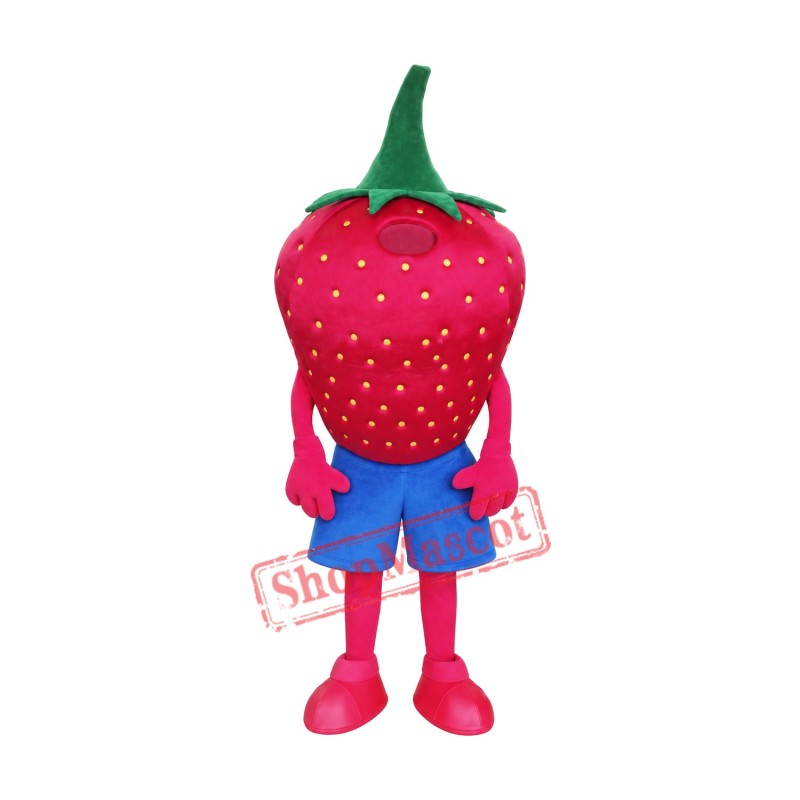 High Quality Strawberry Mascot Costume High Quality Strawberry Mascot Costume