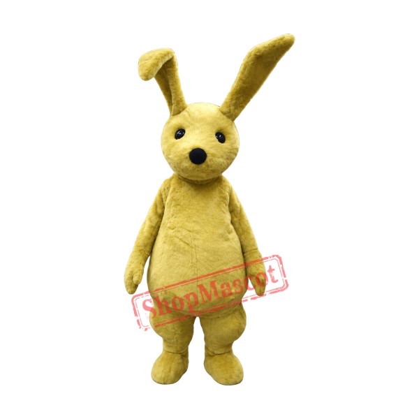 Young Rabbit Mascot Costume