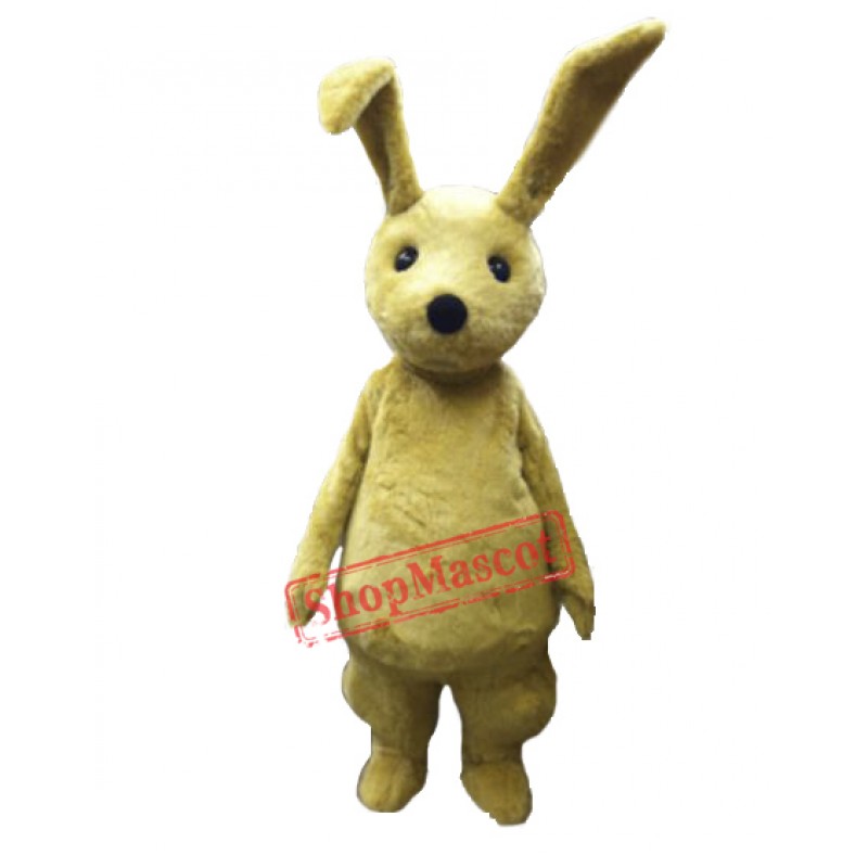 Young Rabbit Mascot Costume