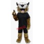 University Bobcat Mascot Costume