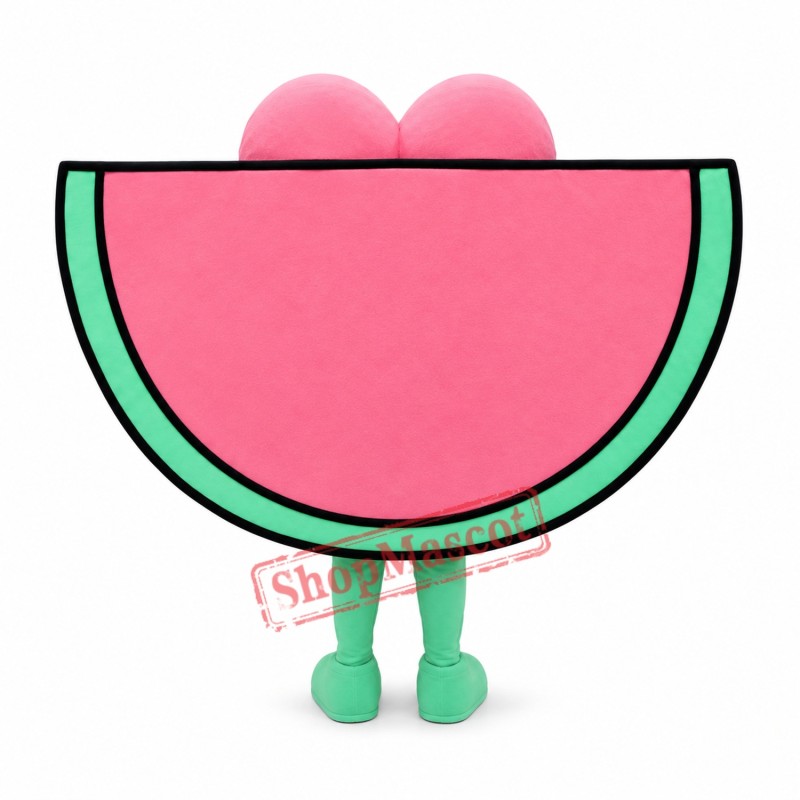 Watermelon Mascot Costume Watermelon Mascot Costume