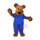 Doctor Teddy Bear Mascot Costume