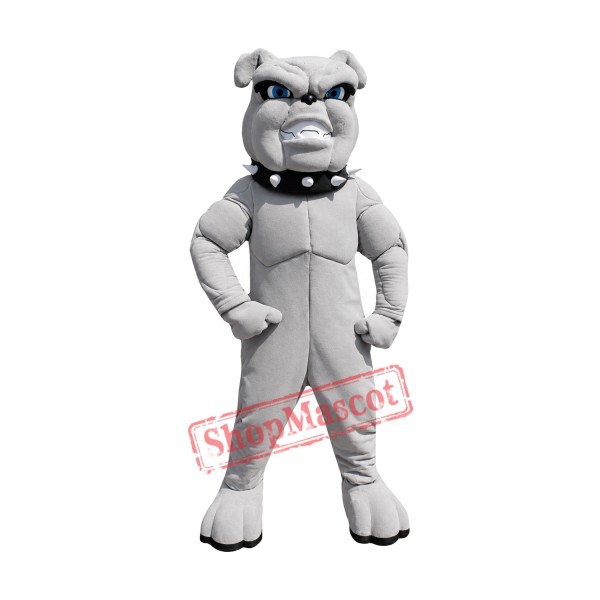 High Quality Lightweight Bulldog Mascot Costume