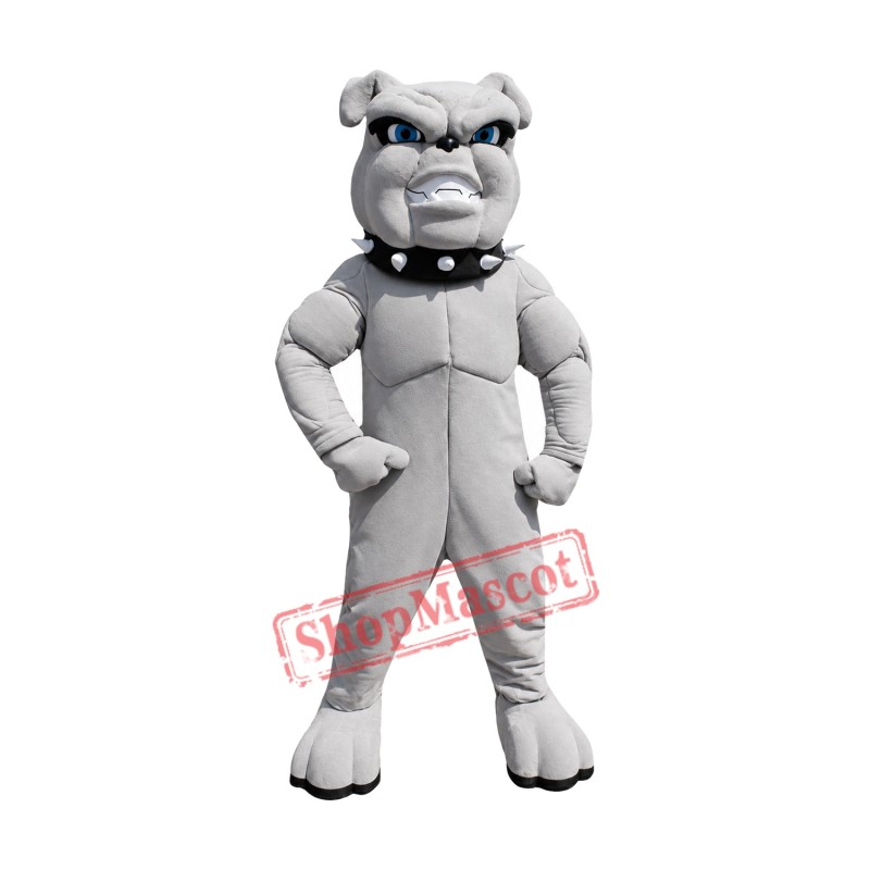 High Quality Lightweight Bulldog Mascot Costume High Quality Lightweight Bulldog Mascot Costume