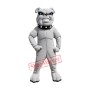 High Quality Lightweight Bulldog Mascot Costume