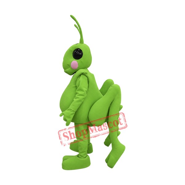High Quality Grasshopper Mascot Costume