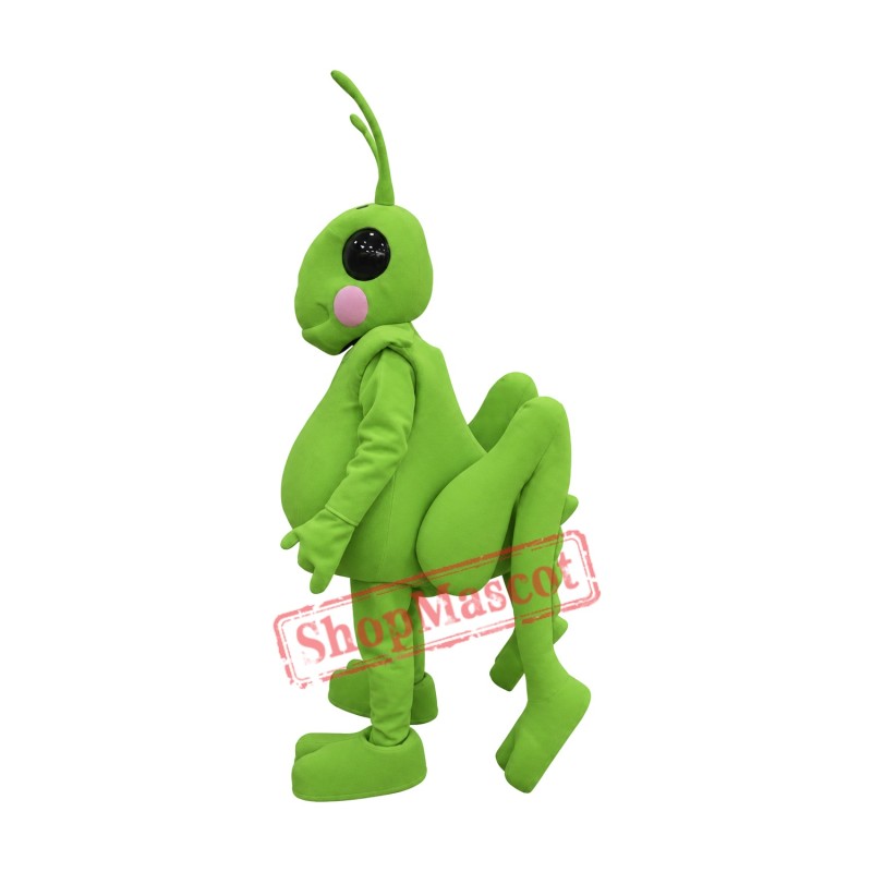High Quality Grasshopper Mascot Costume