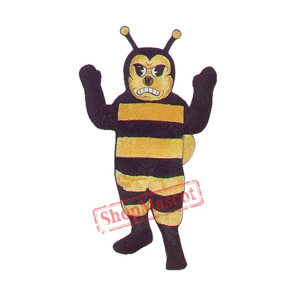 Hornet Bee Mascot Costumes