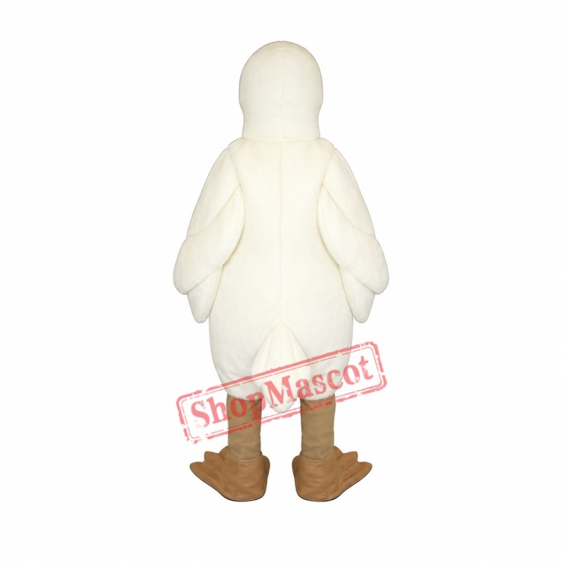 Pigeon Bird Mascot Costume
