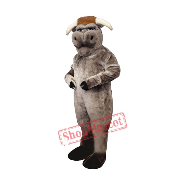 Bully Bull Mascot Costume