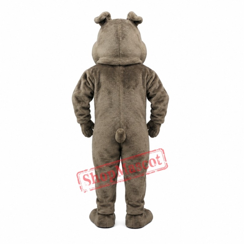 Buster Bulldog Mascot Costume Buster Bulldog Mascot Costume