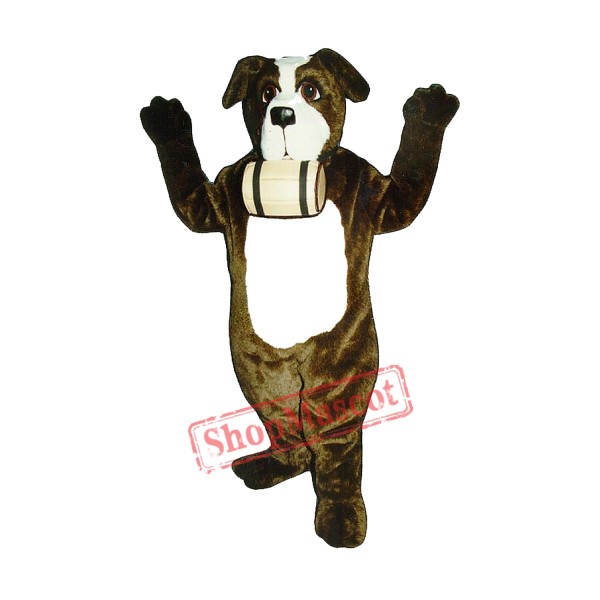 St. Bernard Dog Mascot Costume