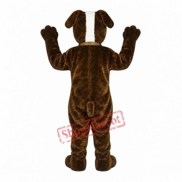 St. Bernard Dog Mascot Costume St. Bernard Dog Mascot Costume