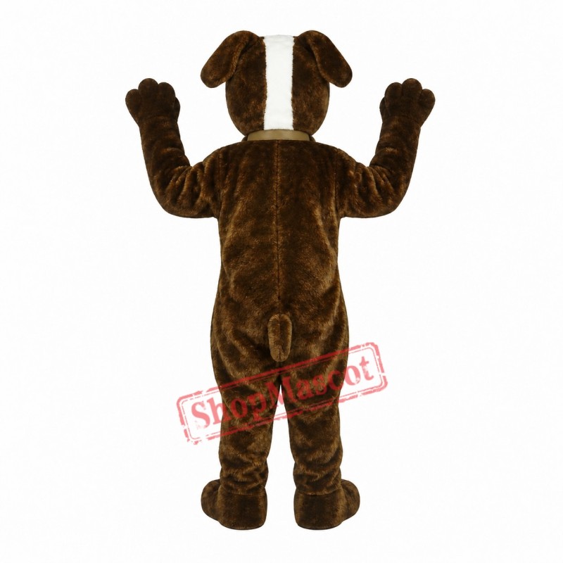 St. Bernard Dog Mascot Costume St. Bernard Dog Mascot Costume
